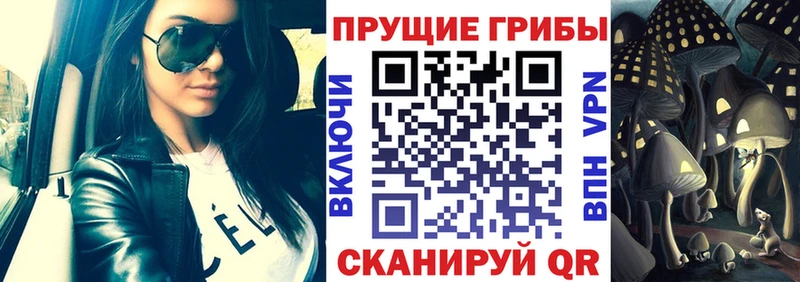 Галлюциногенные грибы MAGIC MUSHROOMS  Галич 